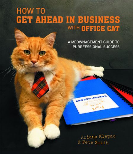 How to Get Ahead in Business with Office Cat