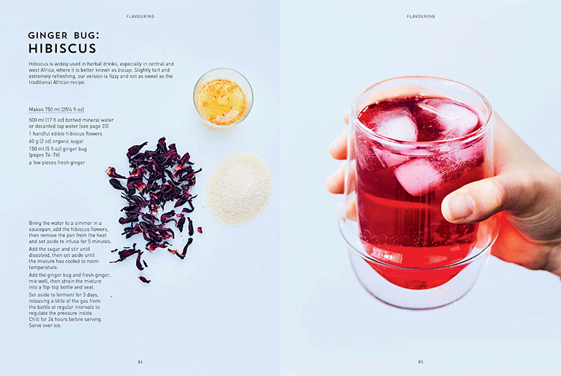 Kombucha, Kefir & Natural Sodas - Image 3