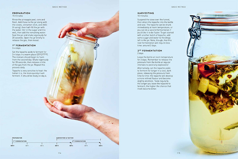 Kombucha, Kefir & Natural Sodas - Image 4