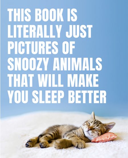 This Book Is Literally Just Pictures of Snoozy Animals That Will Make You Sleep Better