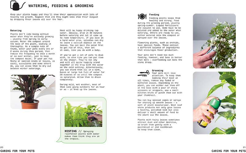 Grow Your Own Pet Plants - Image 4