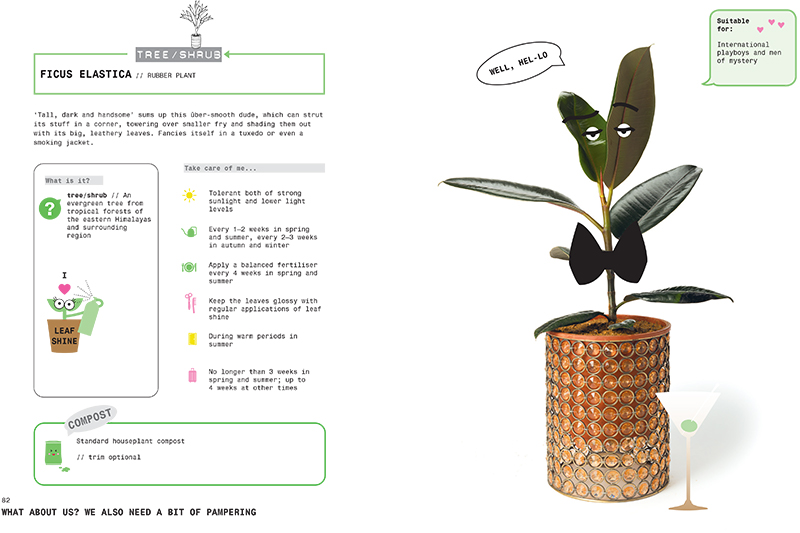 Grow Your Own Pet Plants - Image 6