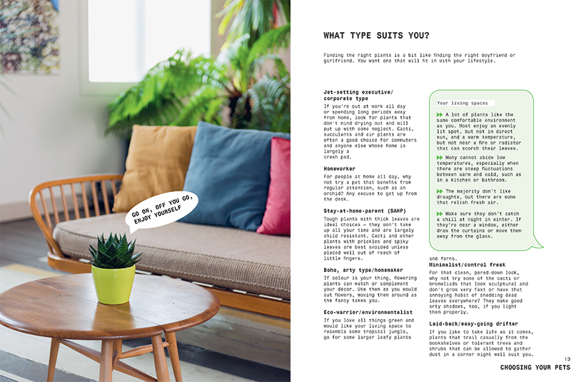 Grow Your Own Pet Plants - Image 3
