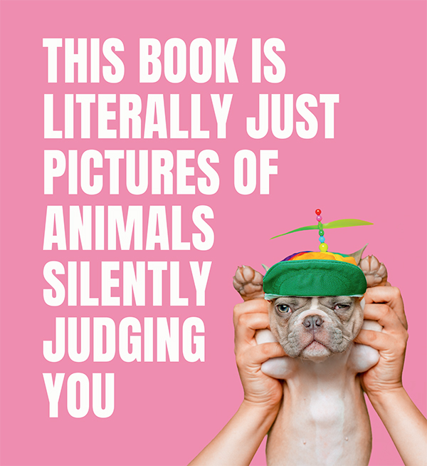 This Book is Literally Just Pictures of Animals Silently Judging You