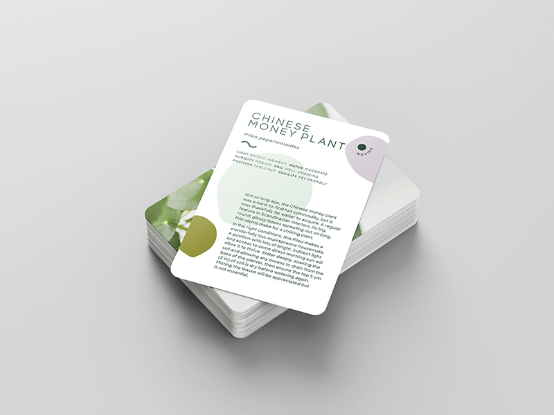 Leaf Supply Deck of Plants - Image 5