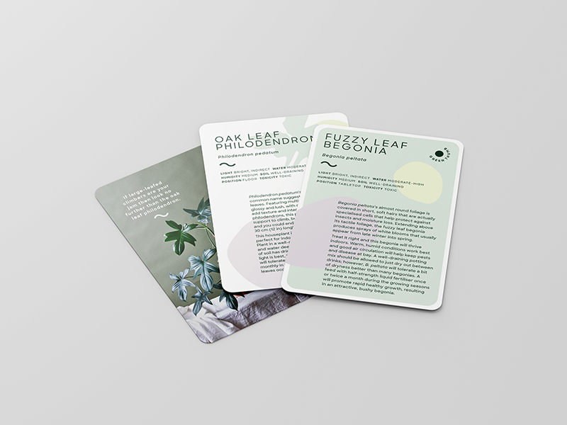 Leaf Supply Deck of Plants - Image 4