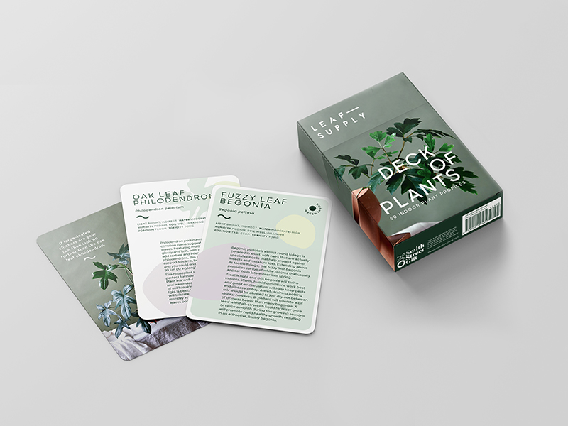 Leaf Supply Deck of Plants