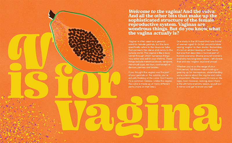 The Penis / The Vagina - Image 2