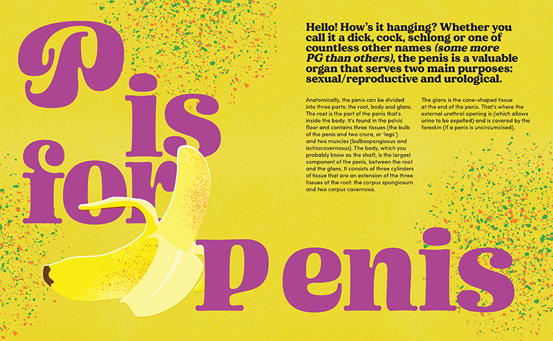 The Penis / The Vagina - Image 5