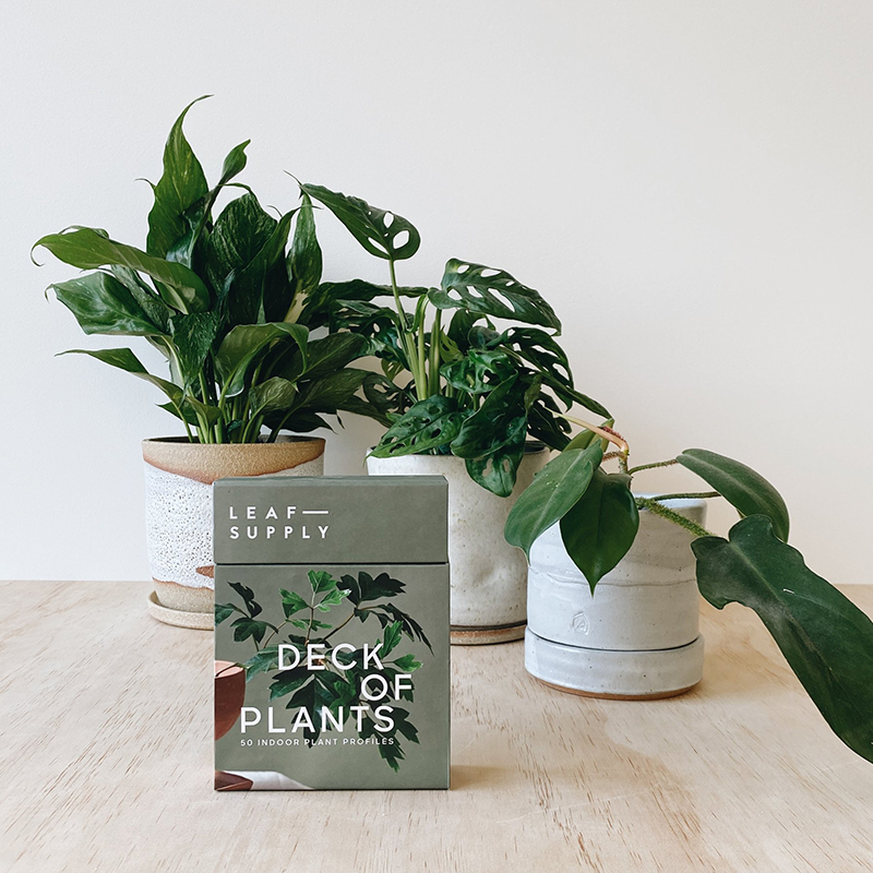 Leaf Supply Deck of Plants - Image 2
