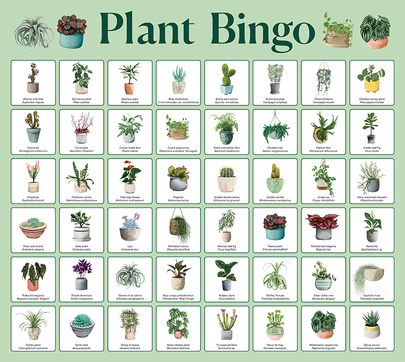 Plant Bingo - Image 2