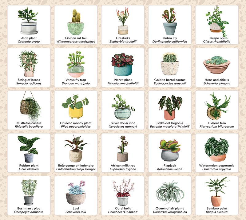 Plant Bingo - Image 3