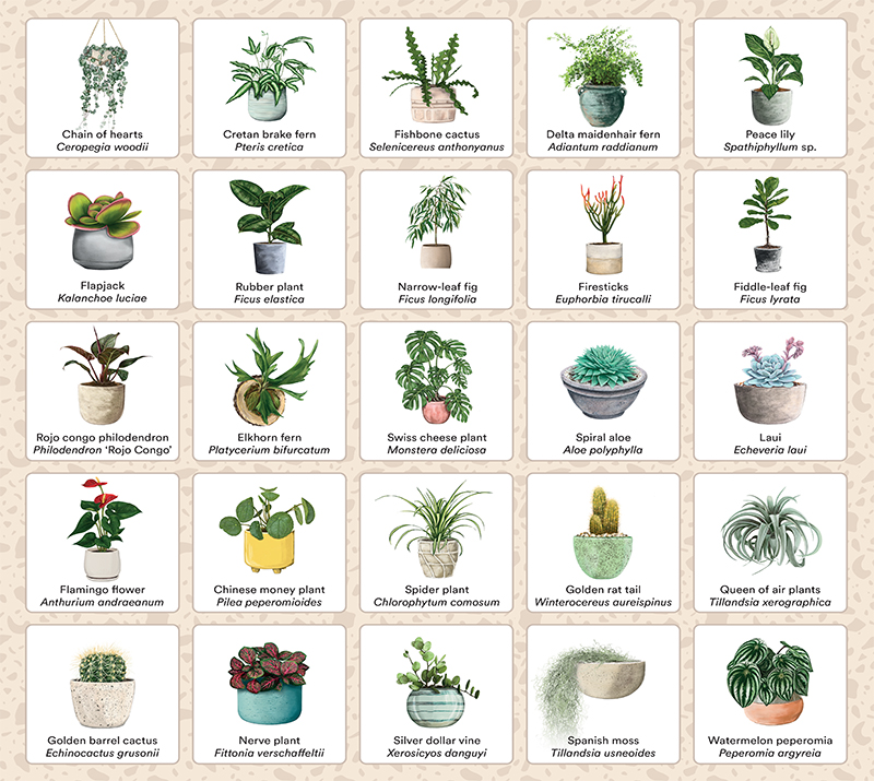 Plant Bingo - Image 5