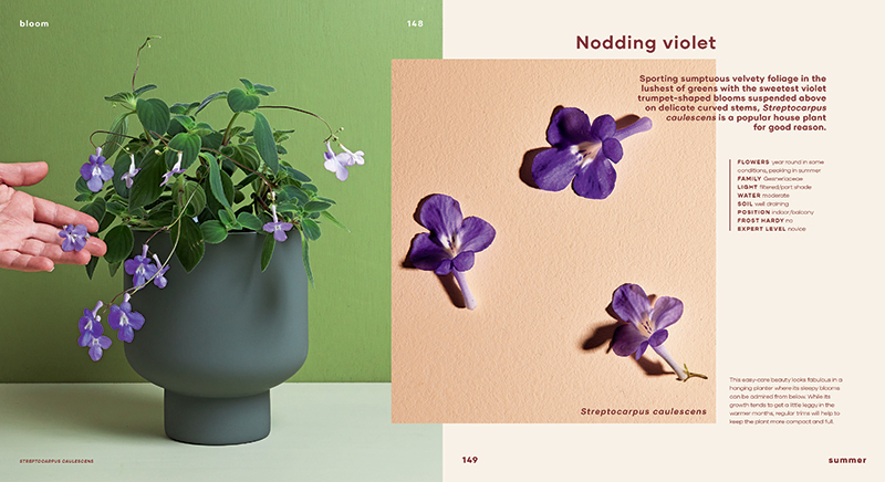 Bloom - Image 9