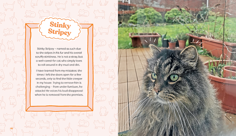 This Is Not My Cat - Image 2