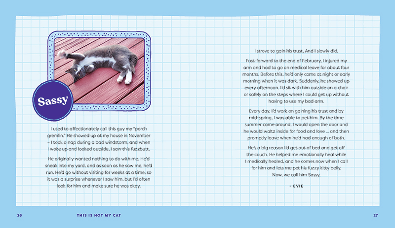 This Is Not My Cat - Image 5