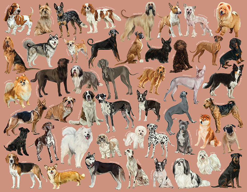 Iconic Dogs - Image 2