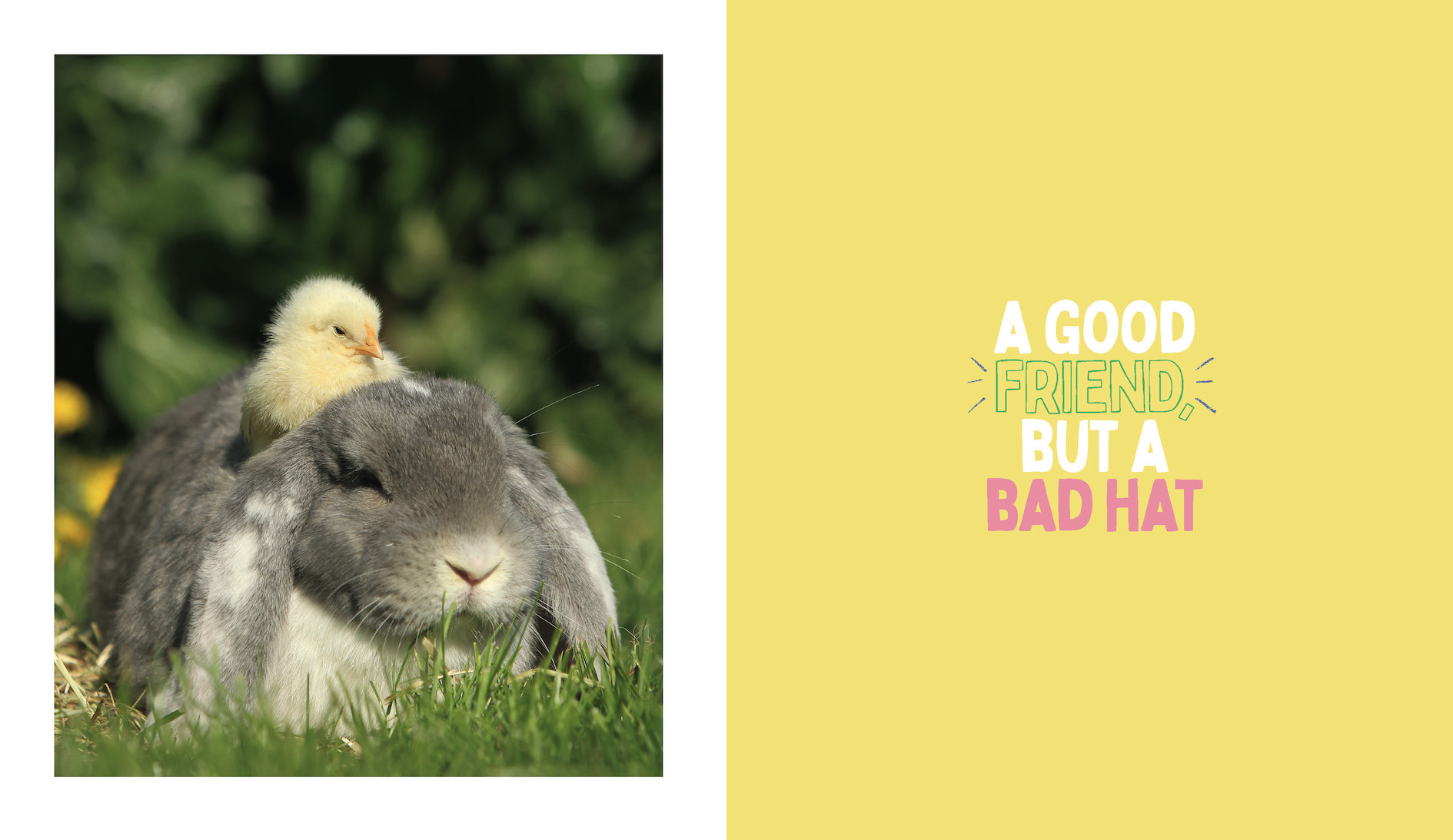 Animal Pals That Prove That Love Is Real - Image 2
