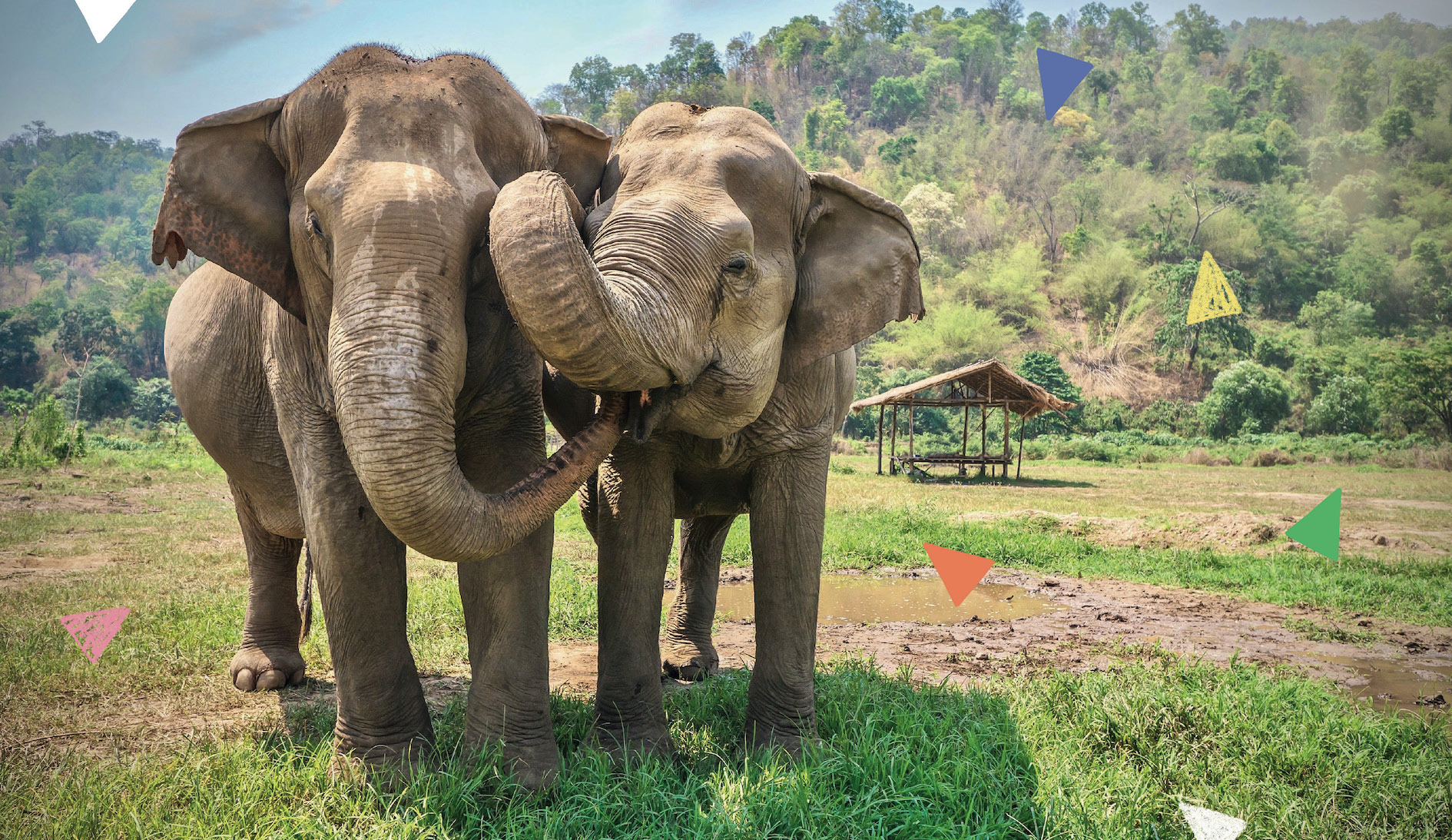 Animal Pals That Prove That Love Is Real - Image 8