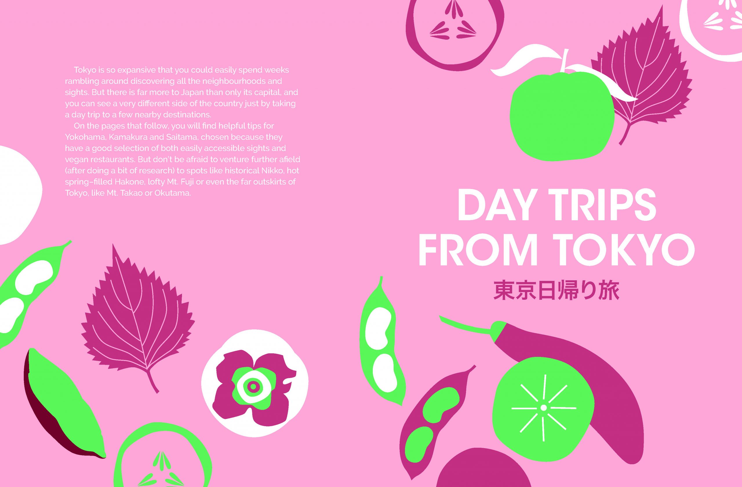 The Vegan Guide to Tokyo - Image 5
