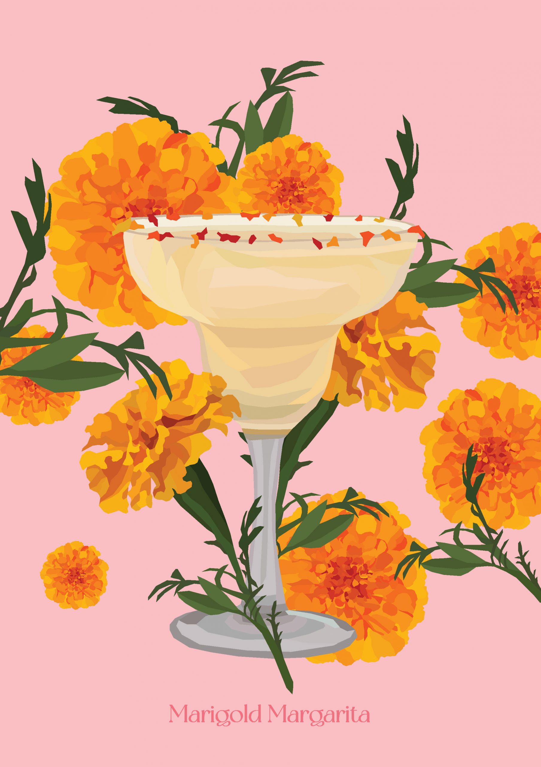 The Botanical Cocktail Deck of Cards - Image 7
