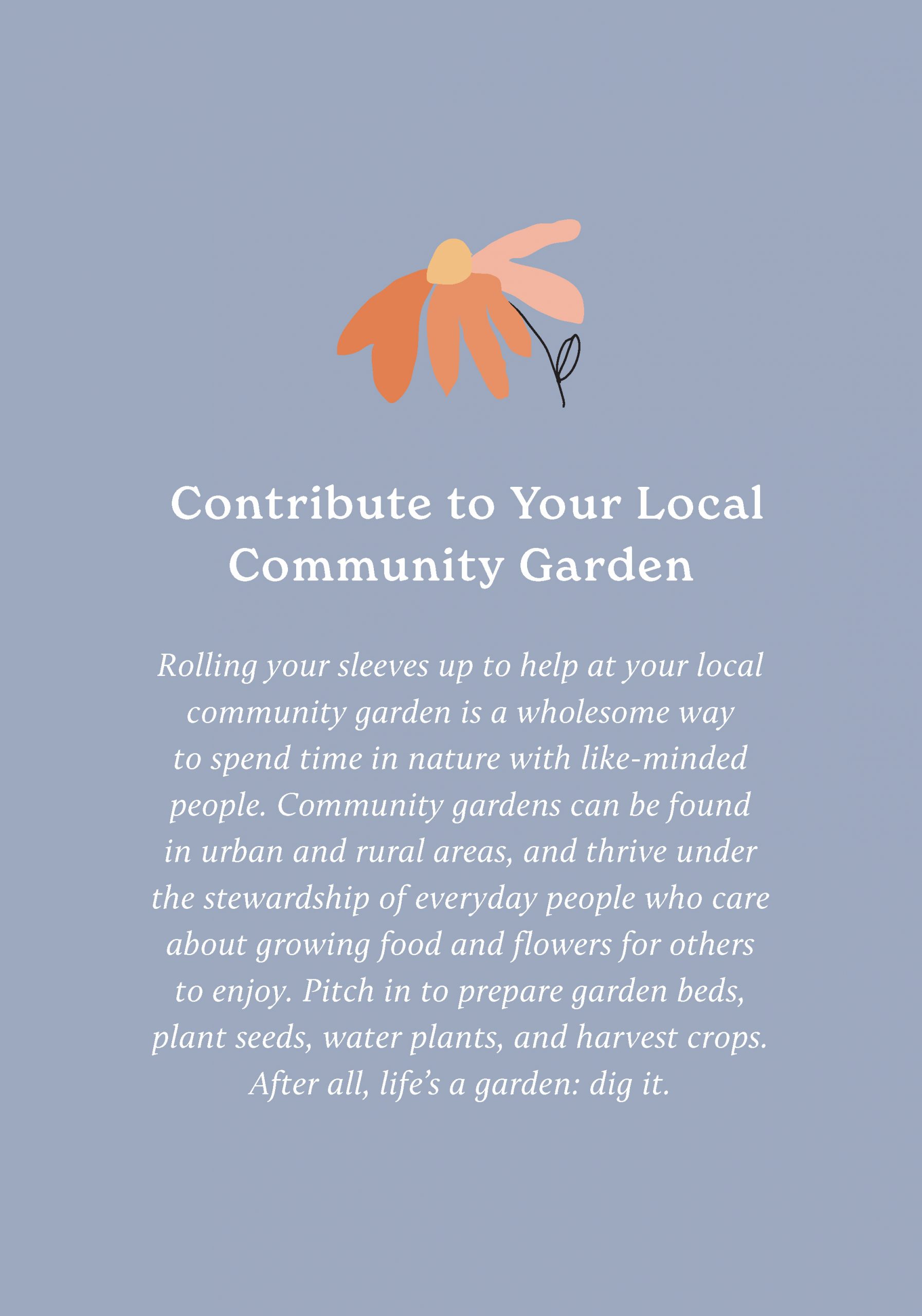 100 Ways to Reconnect with Nature - Image 2