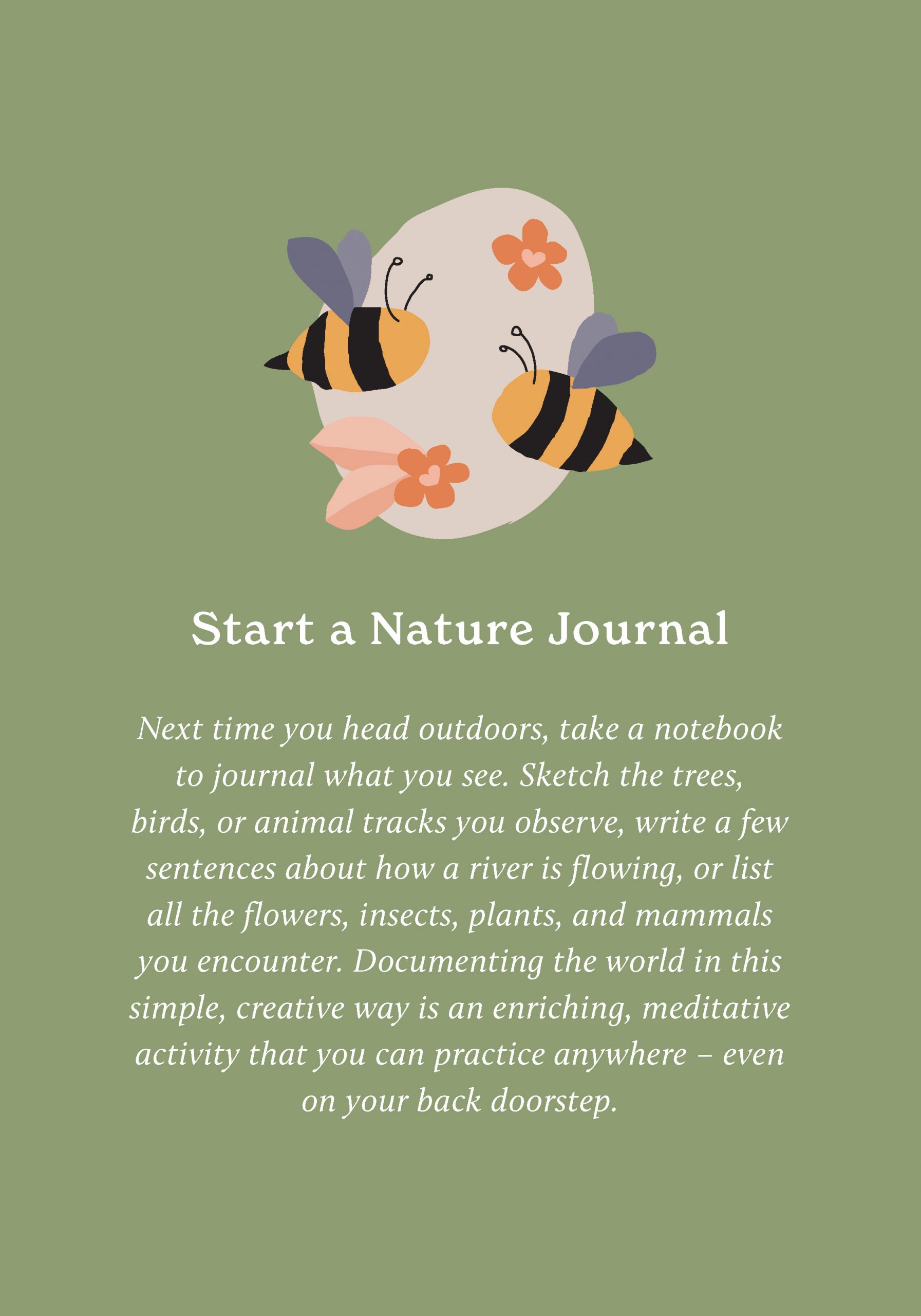 100 Ways to Reconnect with Nature - Image 7