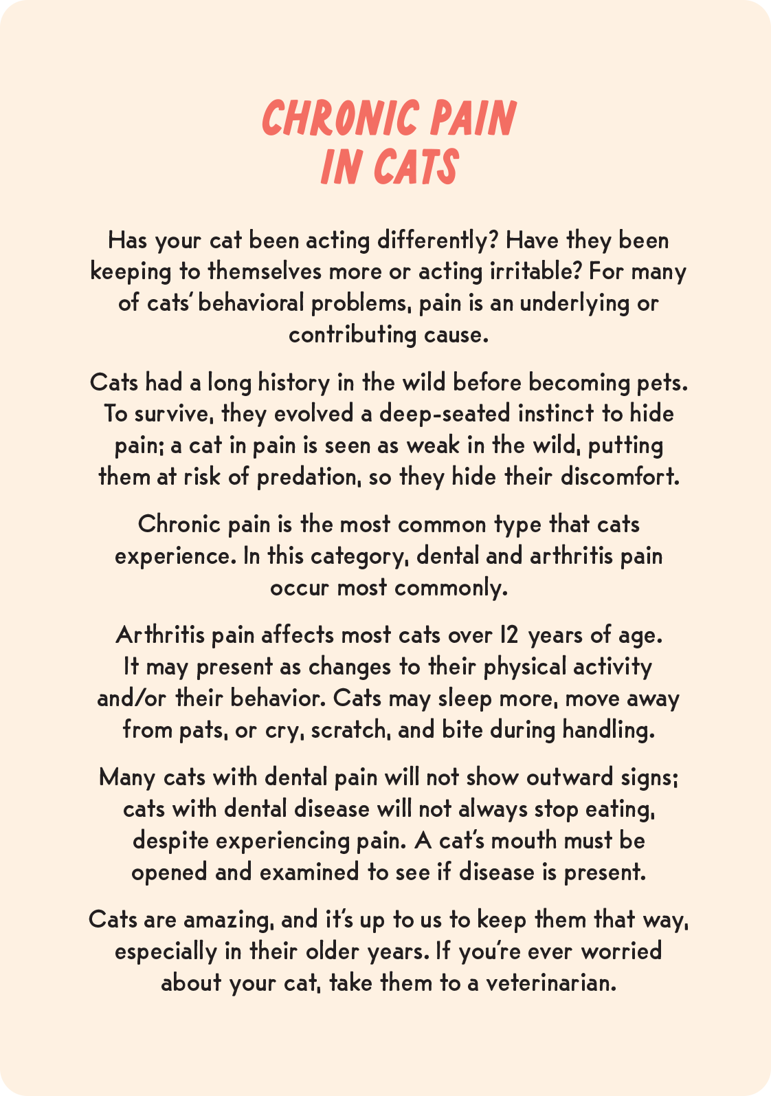 Coaching Cards for New Cat Parents - Image 6