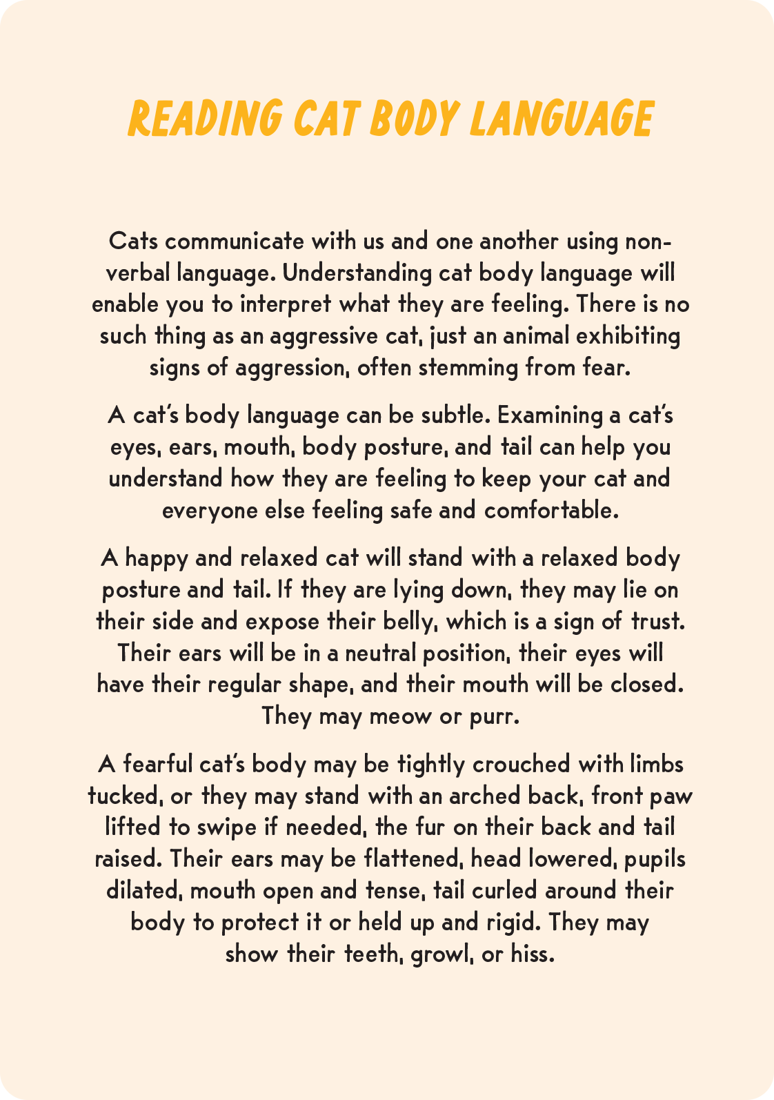 Coaching Cards for New Cat Parents - Image 8