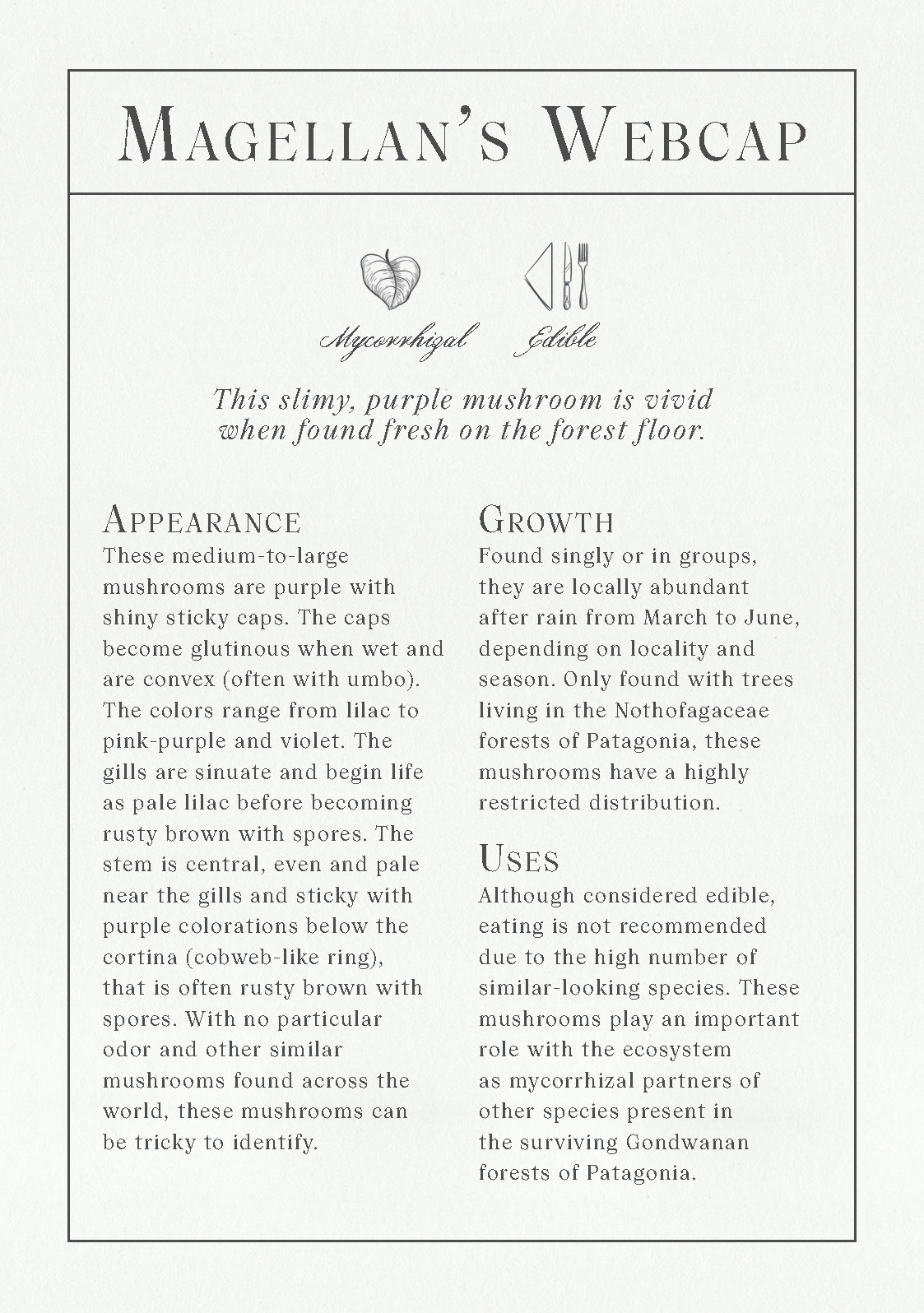 The Deck of Mushrooms - Image 6