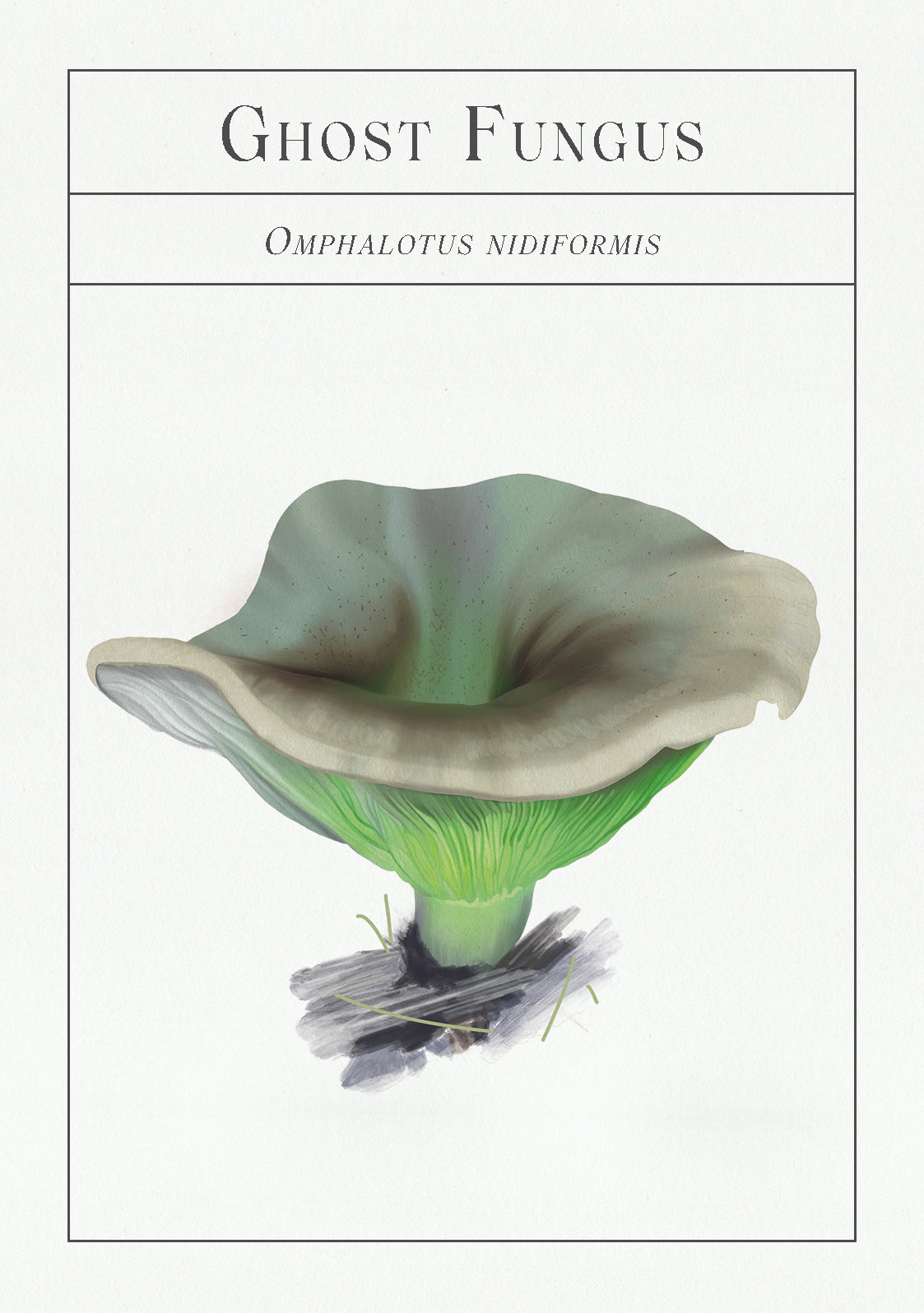The Deck of Mushrooms - Image 7