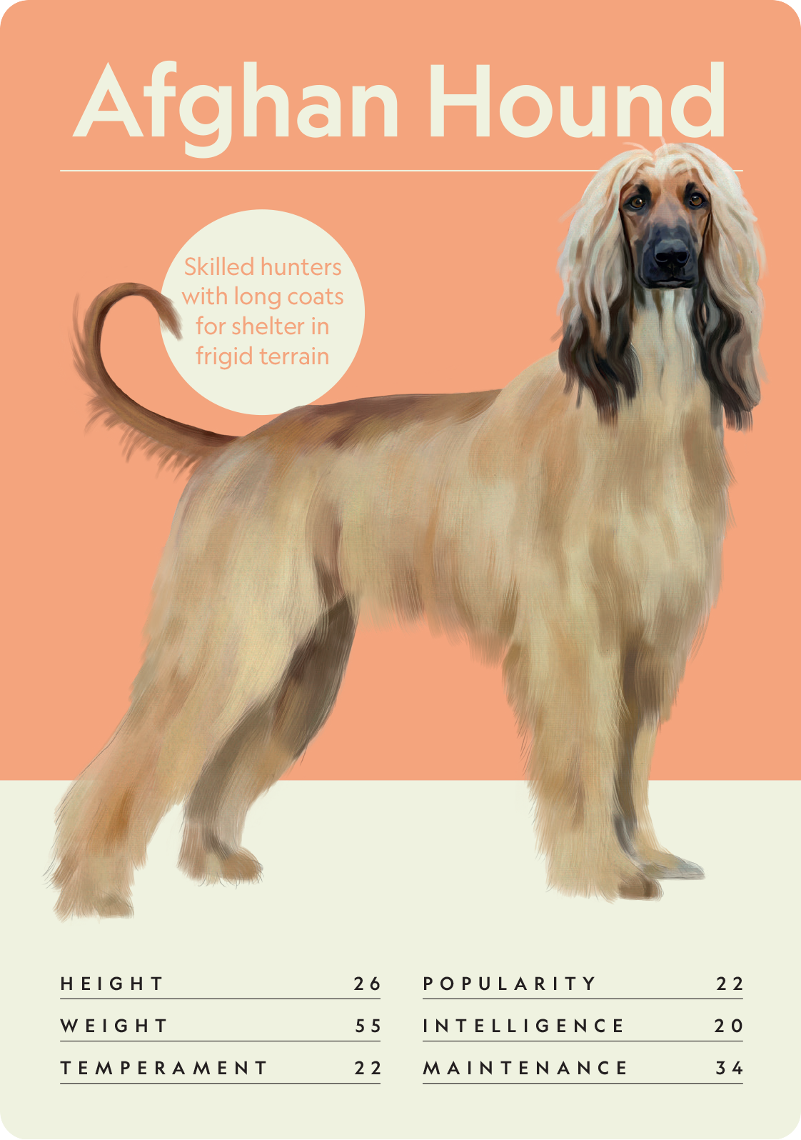 Dog Nerd: Battle of the Breeds - Image 5