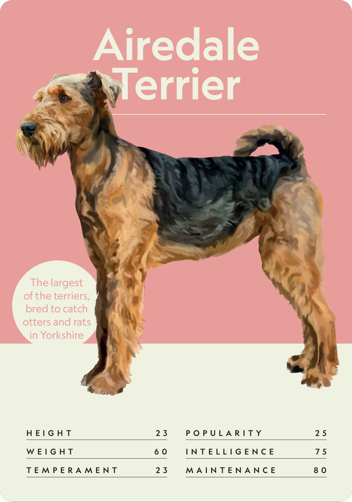 Dog Nerd: Battle of the Breeds - Image 6