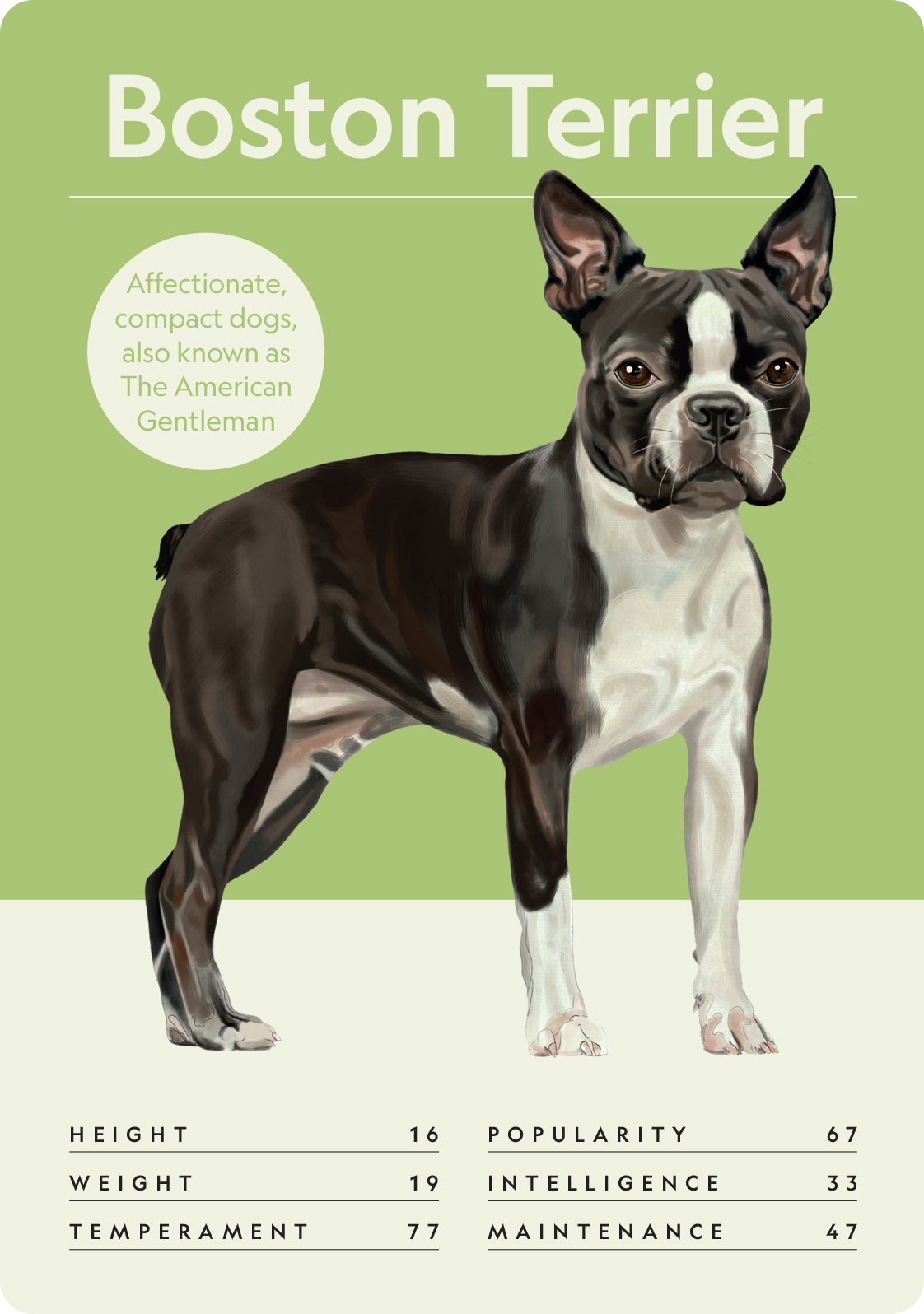 Dog Nerd: Battle of the Breeds - Image 8