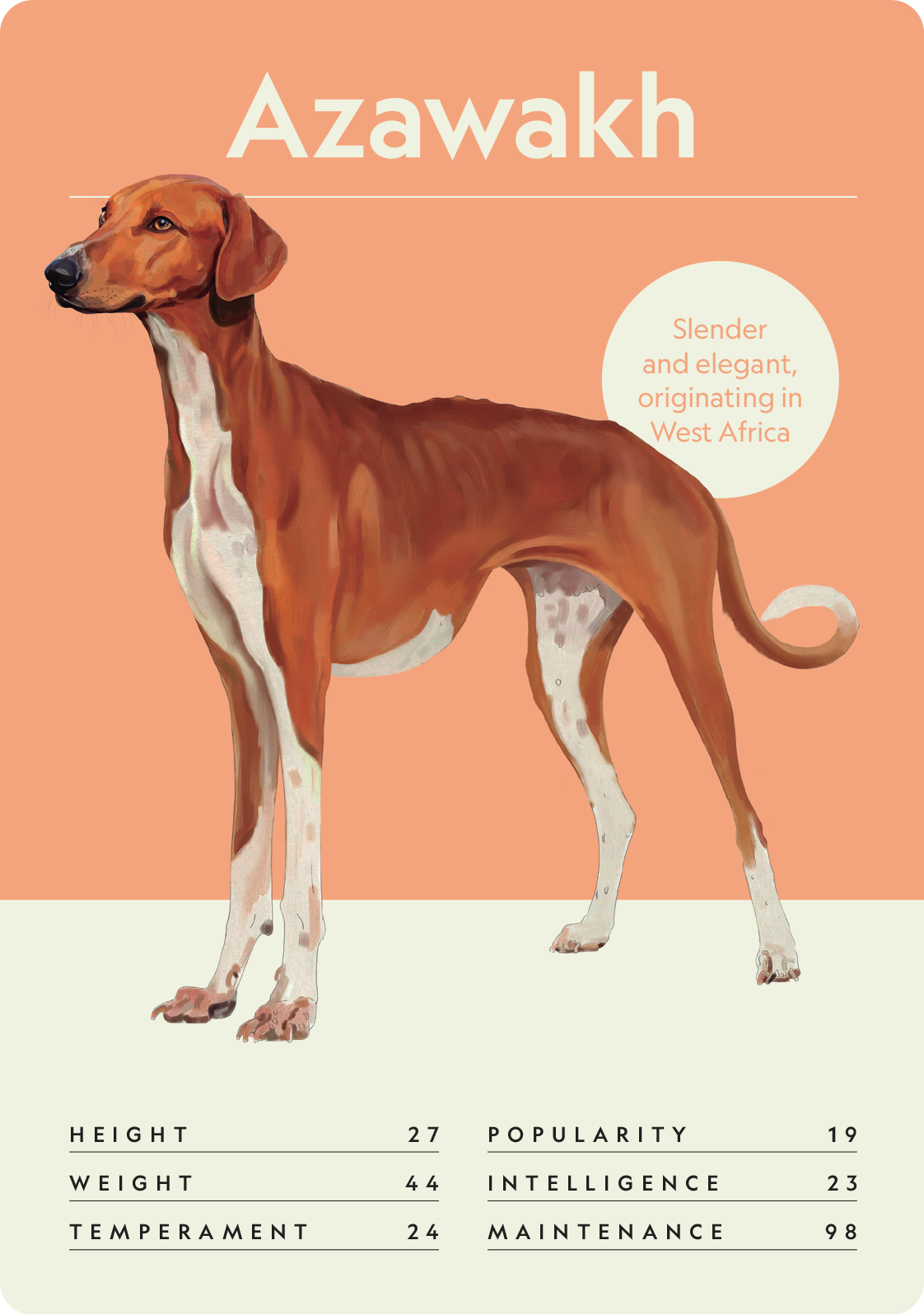 Dog Nerd: Battle of the Breeds - Image 9