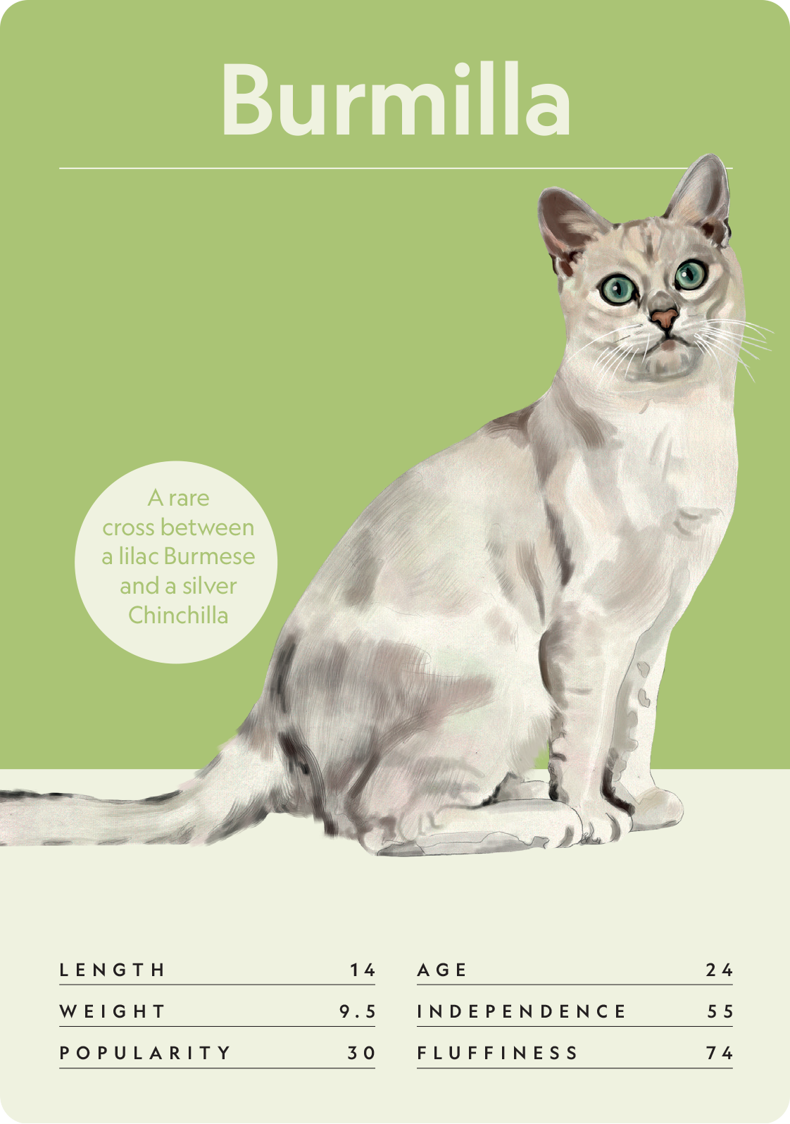Cat Nerd: Battle of the Breeds - Image 8