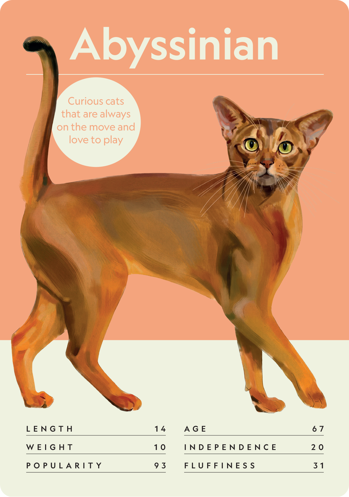 Cat Nerd: Battle of the Breeds - Image 7
