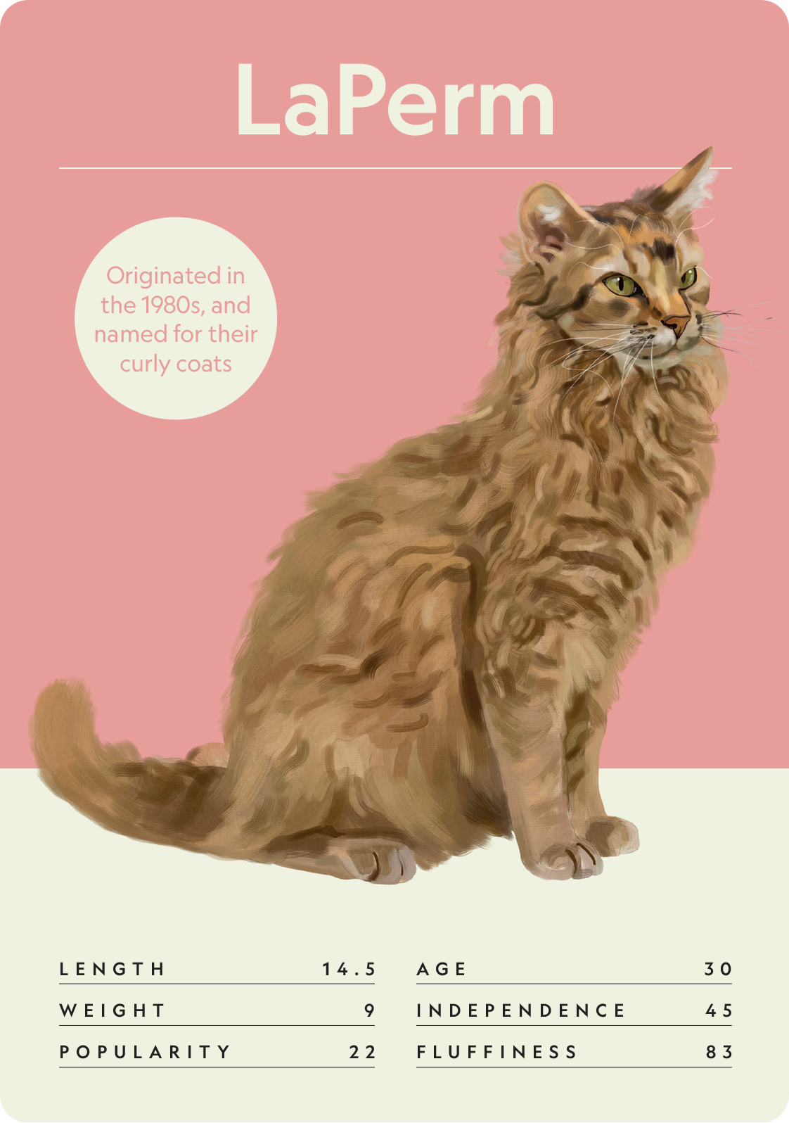 Cat Nerd: Battle of the Breeds - Image 6