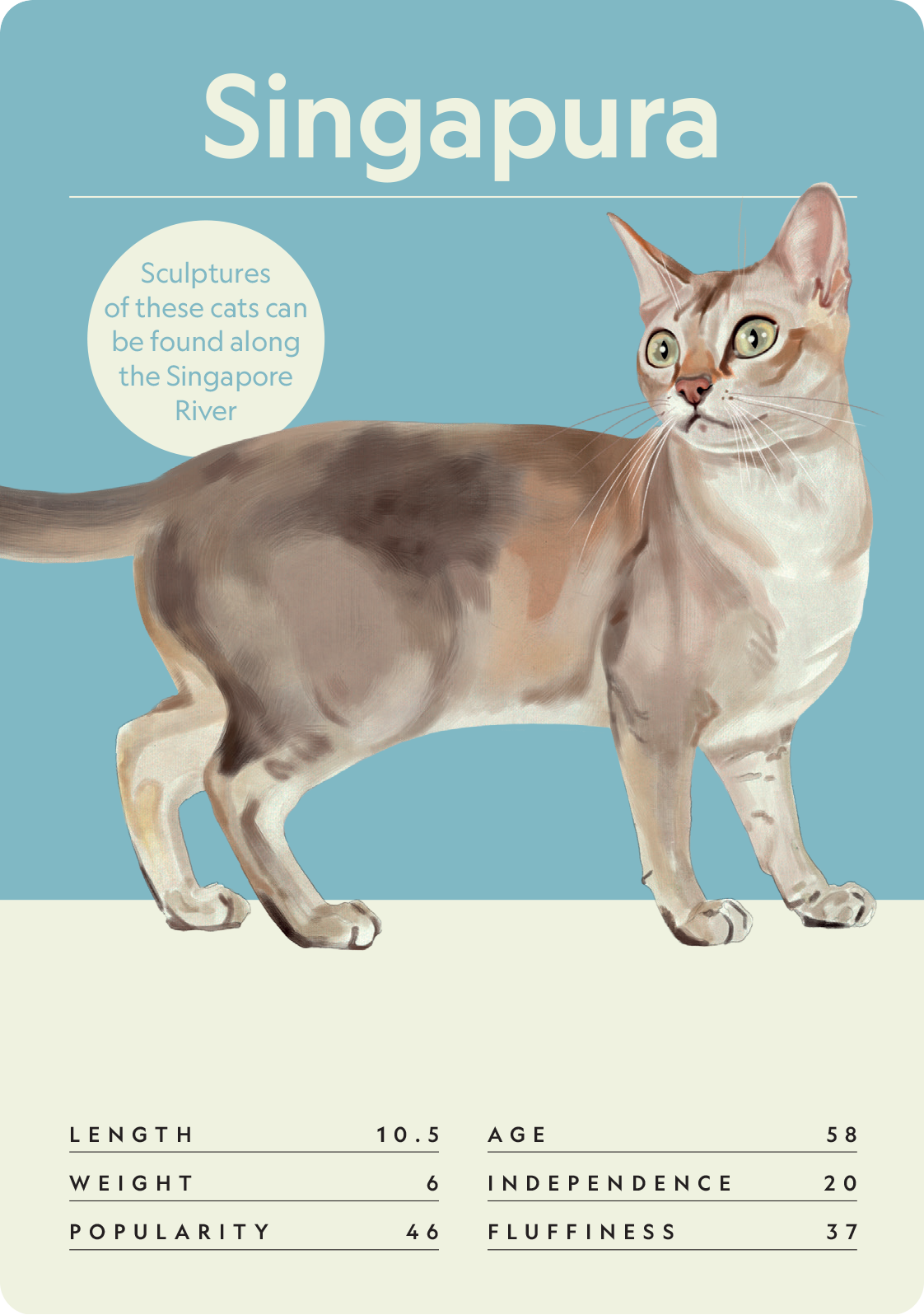 Cat Nerd: Battle of the Breeds - Image 4