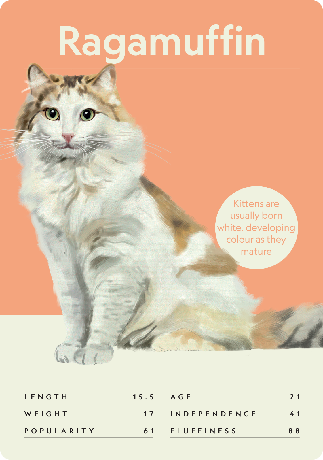 Cat Nerd: Battle of the Breeds - Image 3