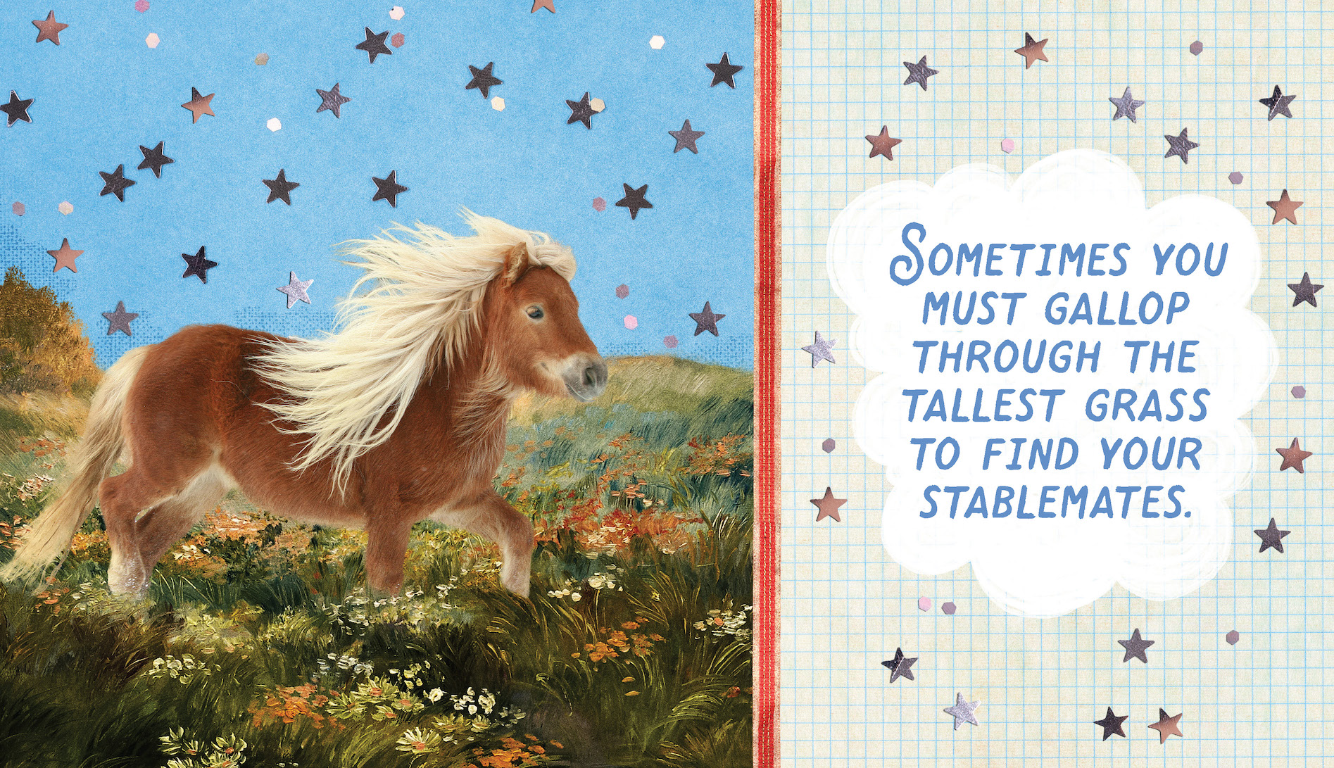 Very Small Horses Living Their Greatest Lives - Image 3