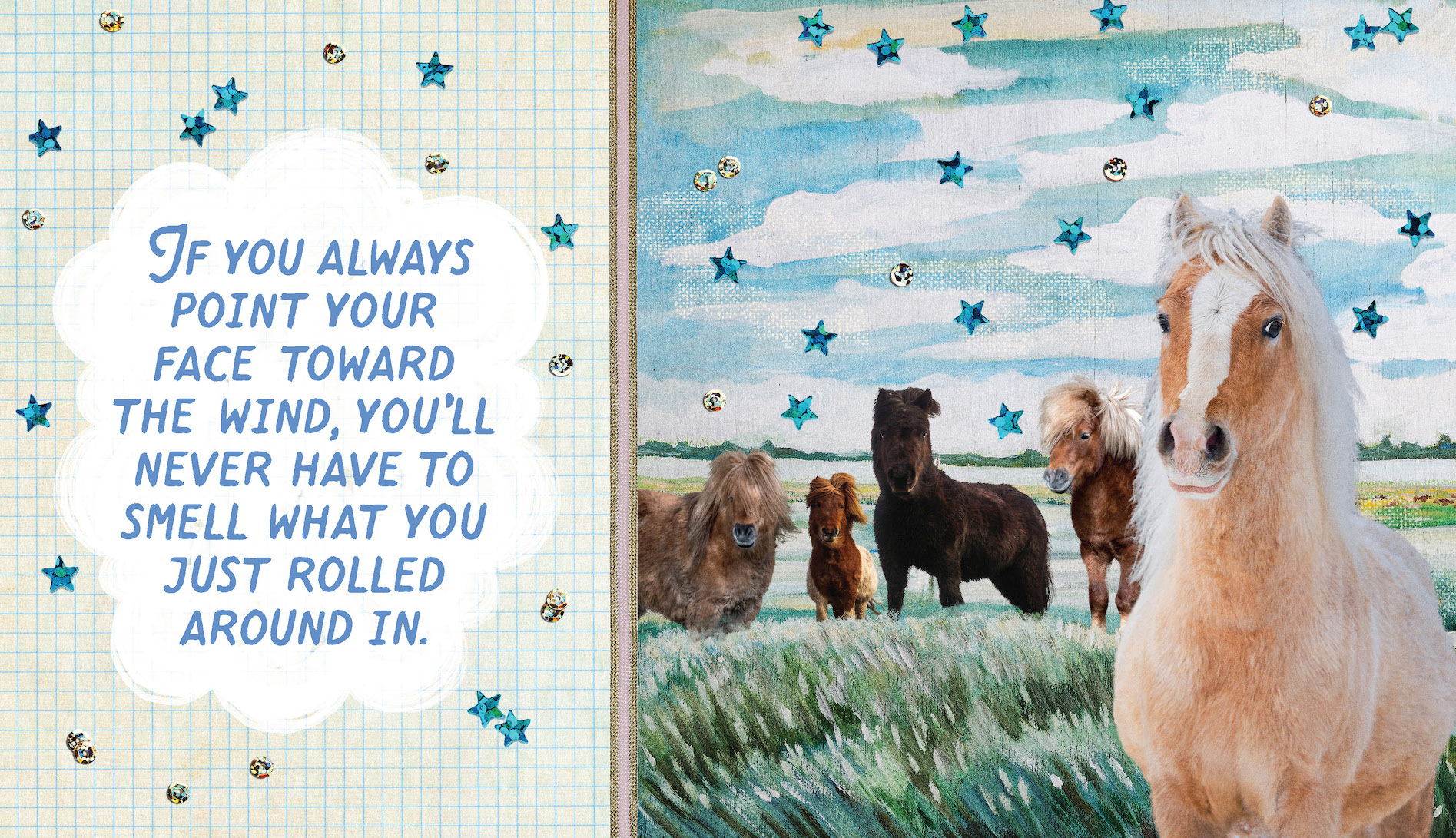 Very Small Horses Living Their Greatest Lives - Image 8