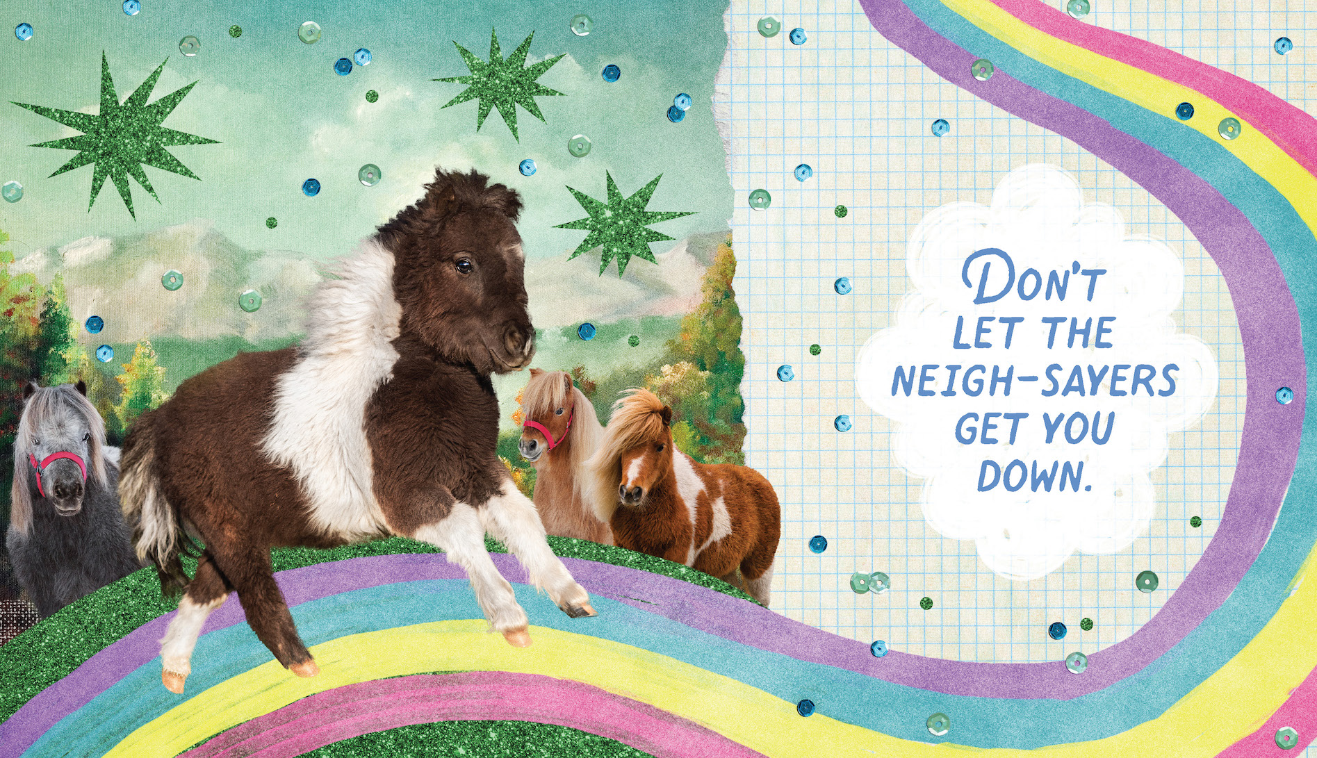 Very Small Horses Living Their Greatest Lives - Image 9