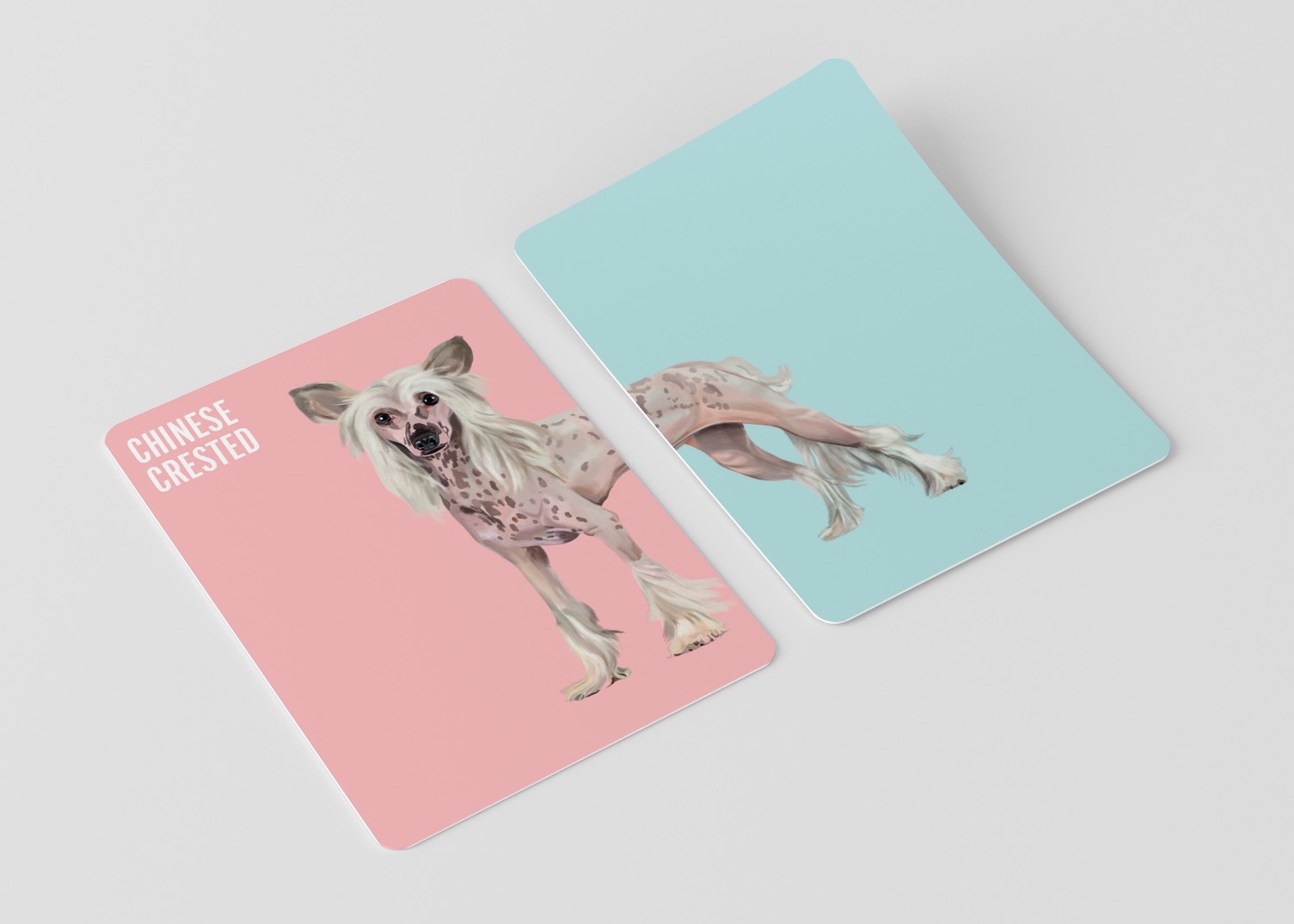 Heads & Tails: Dog Memory Cards - Image 4