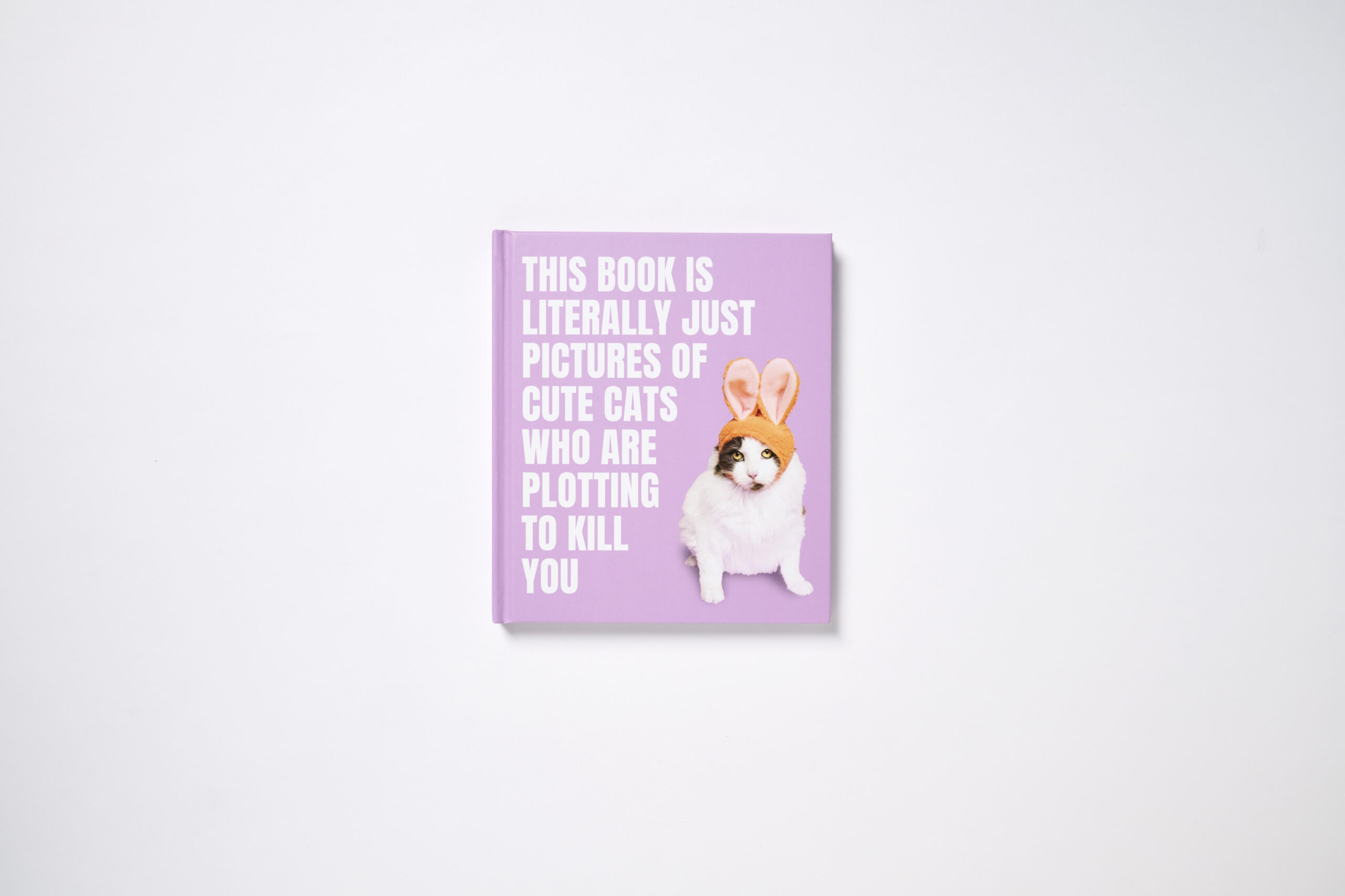 This Book is Literally Just Pictures of Cute Cats Who Are Plotting to Kill You