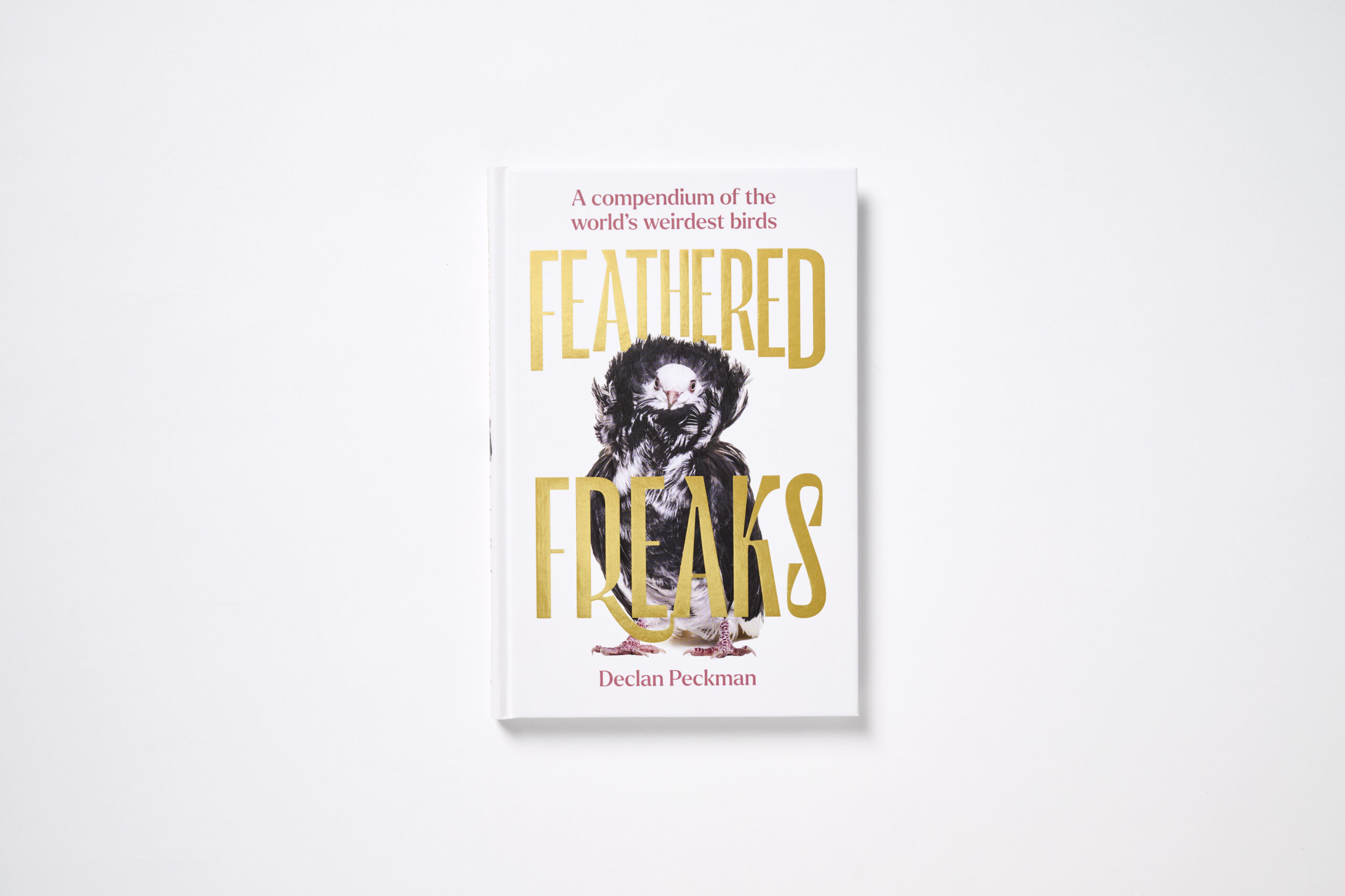 Feathered Freaks