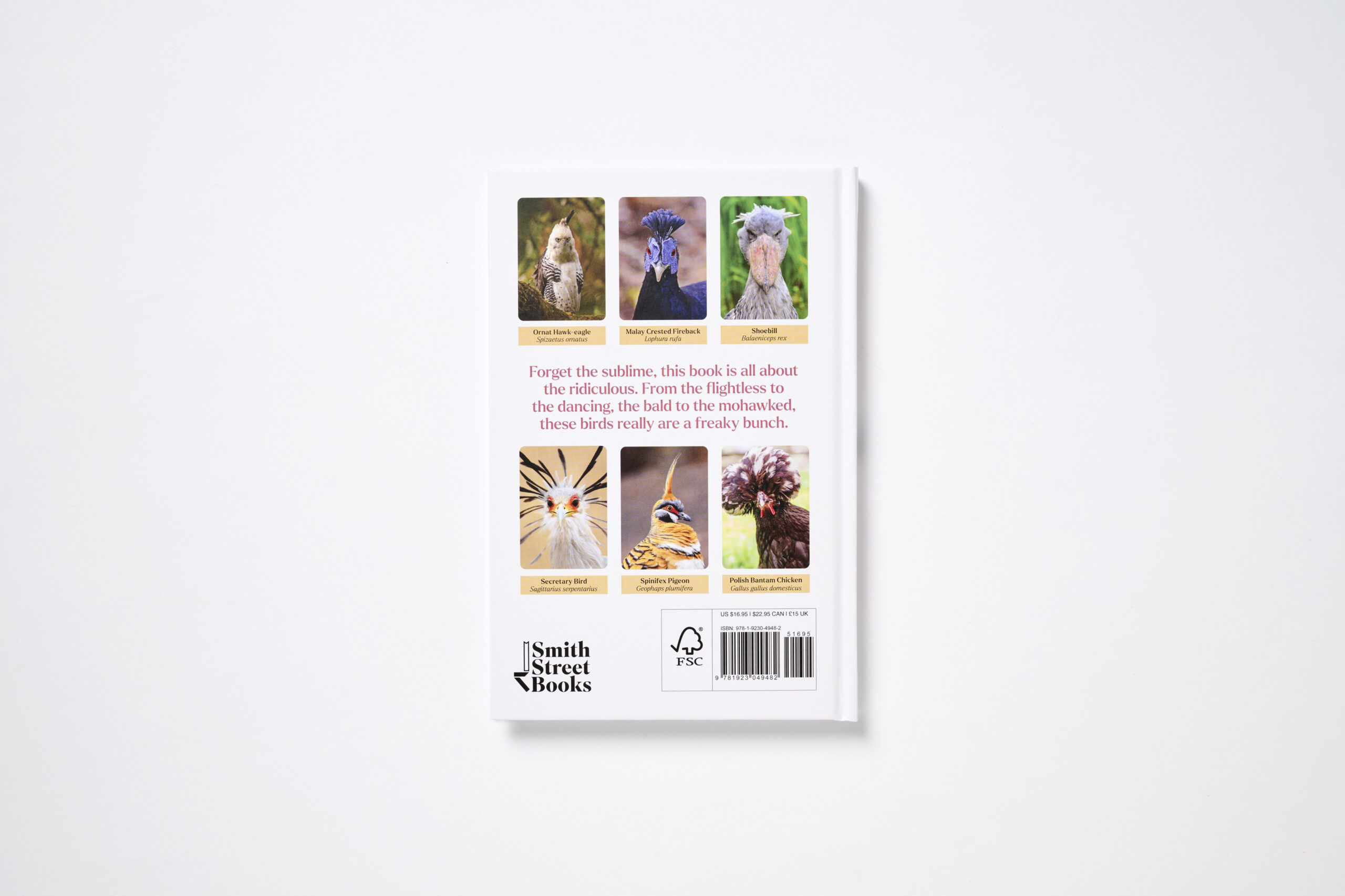 Feathered Freaks - Image 2