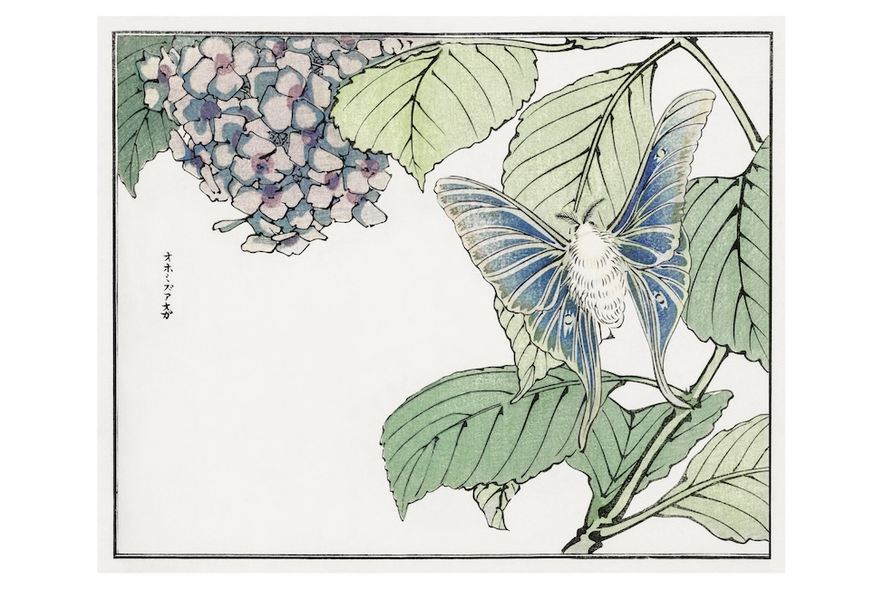 The Art of Japanese Woodblock Printing - Image 7
