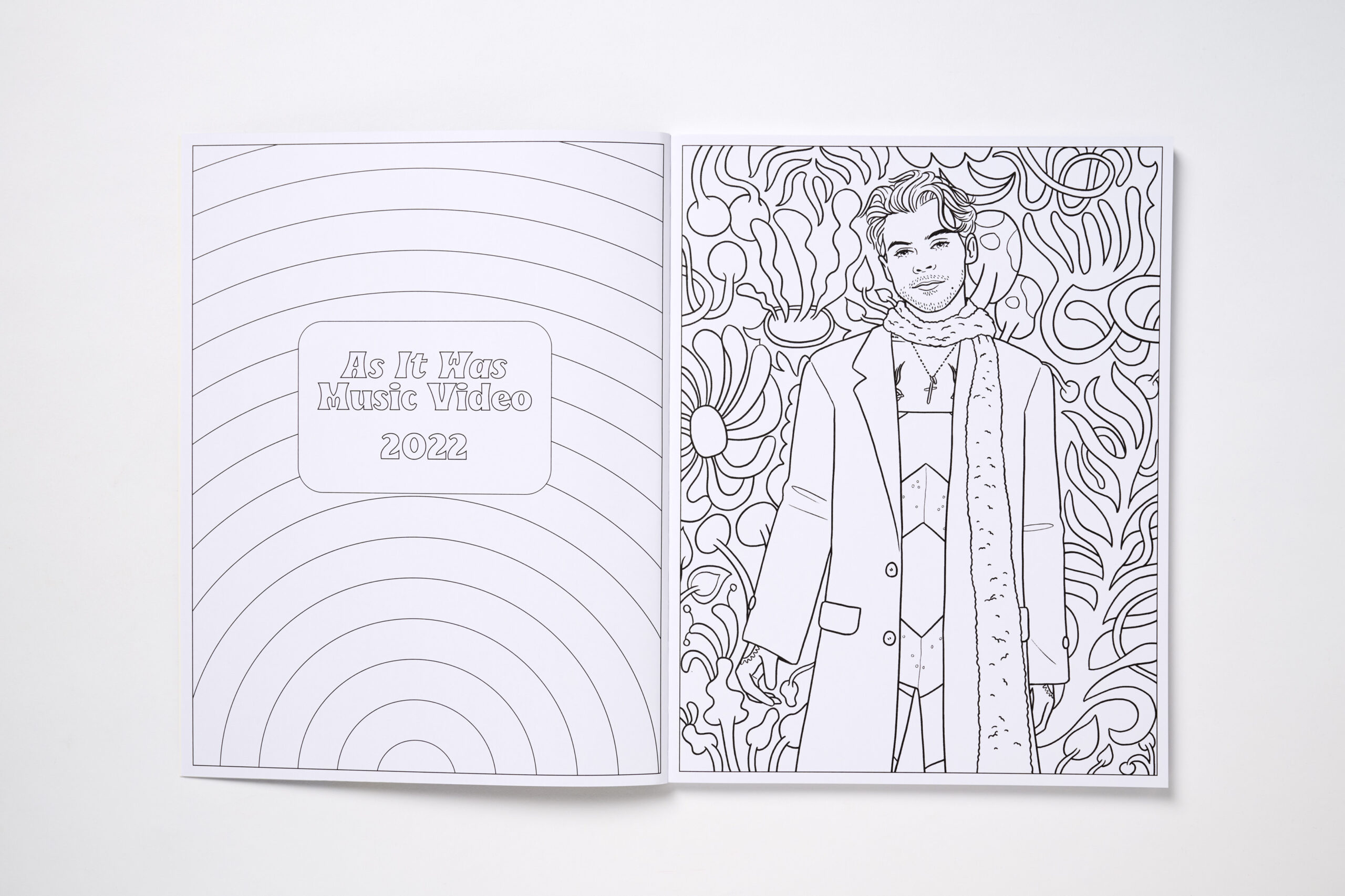 Colour in Harry - Image 3