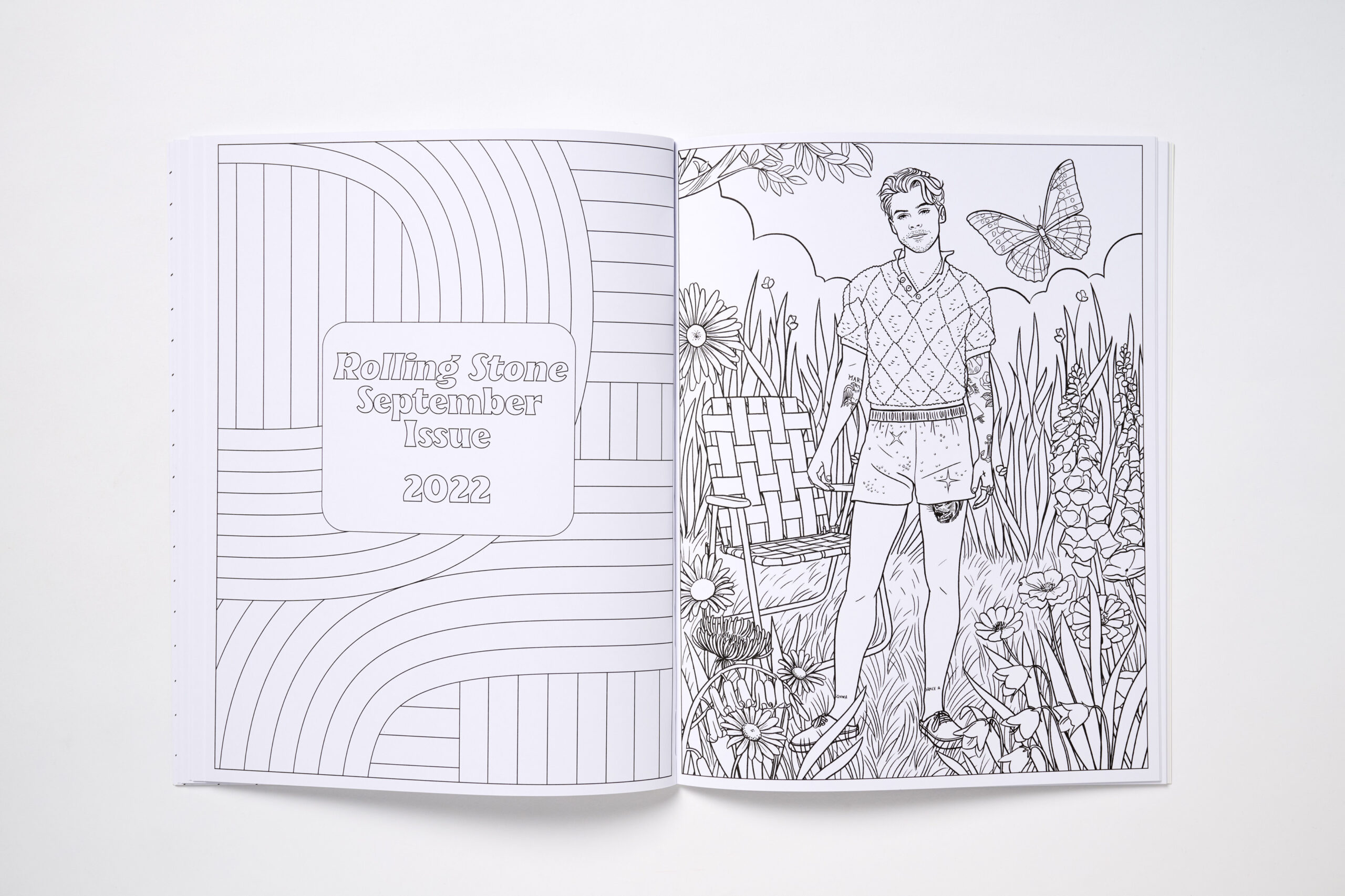 Colour in Harry - Image 7